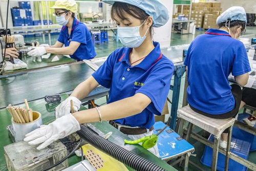 东莞往事 工厂大姐修电脑的温情邂逅与网站设计梦